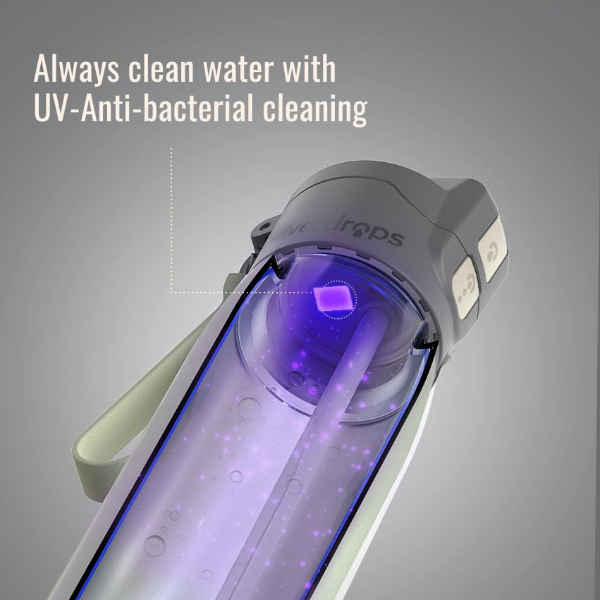 3-in-1 Self-Cleaning Water Bottle with Sip & Chug Lid - 24oz