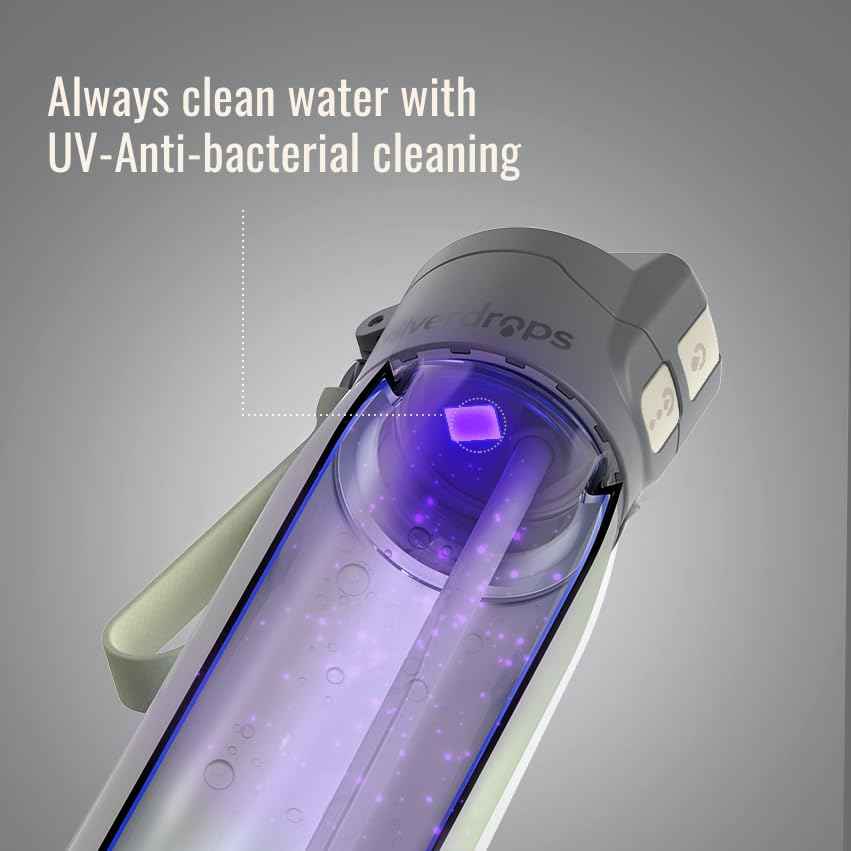 3-in-1 Self-Cleaning Water Bottle with Sip & Chug Lid - 24oz