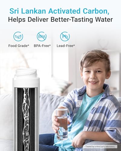 GSWF Refrigerator Water Filter (2 Count)