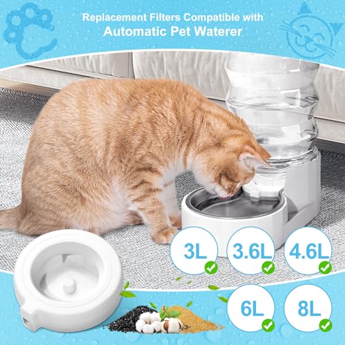 4 Pack Replacement Filters for 3.6L