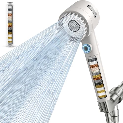 Filtered Shower Head with Handheld