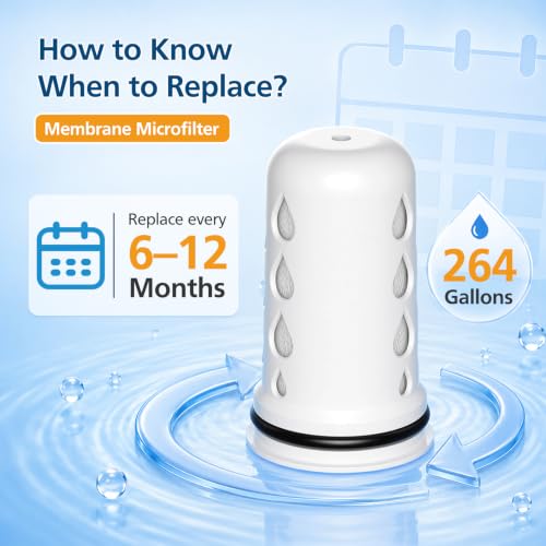 Water Pitcher Filter Replacement for LifeStraw Home