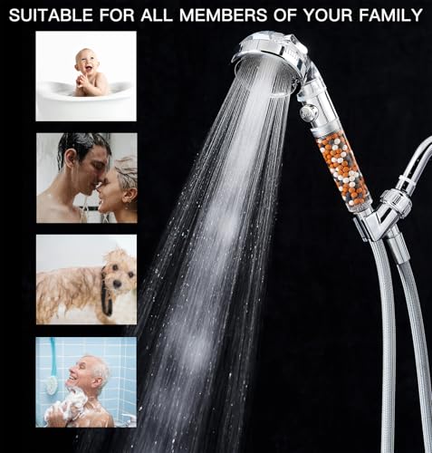 Filtered Shower Head with Handheld