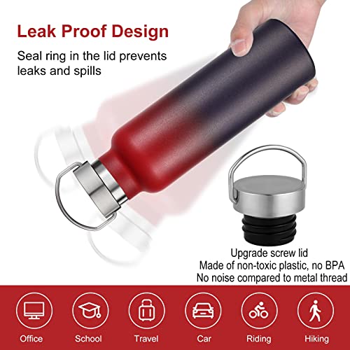 Gradient Stainless Steel Water Bottles