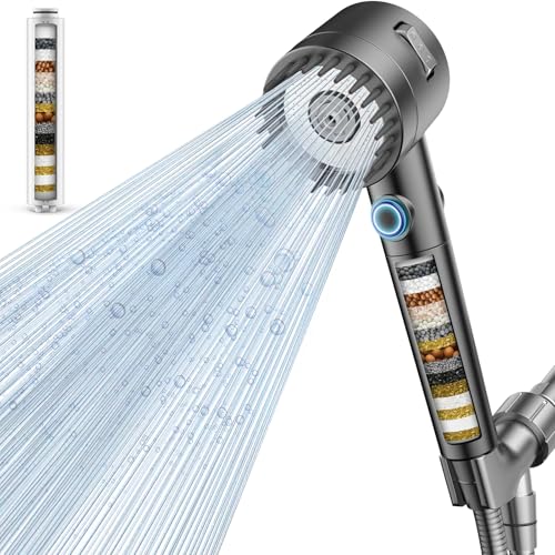 Filtered Shower Head with Handheld