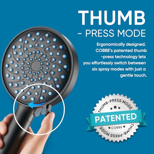 Filtered Shower Head with Handheld