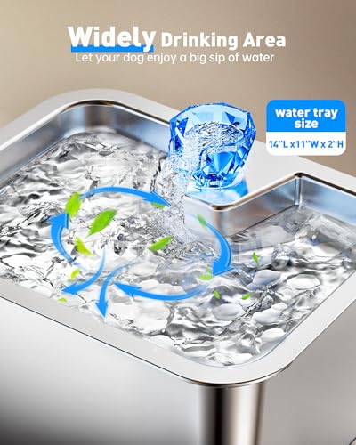 Large Dog Water Fountain Dispenser