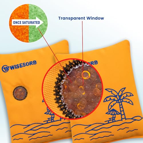 500g 2pcs Rechargeable Car Dehumidifier Moisture Absorbers Bags (2 Count)