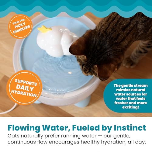 Purrfect Rain Cat Water Fountain