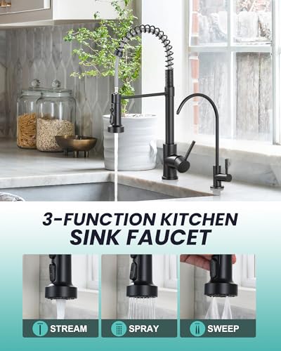 Kitchen Faucet and Water Filter Faucet