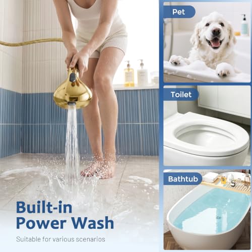 Dual Filtered Rain Shower Head Combo