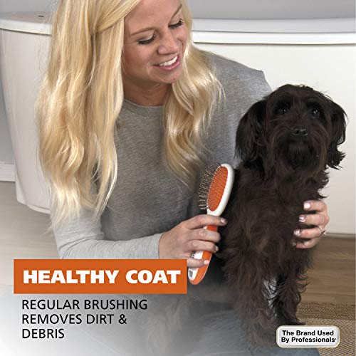 Premium Pet Double Sided Medium Pin Bristle Brush