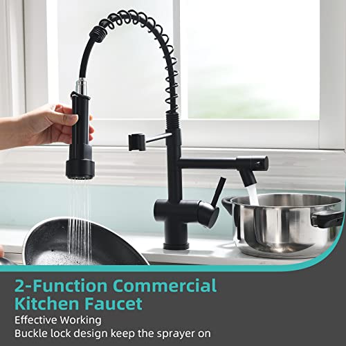 Commercial Faucet with Sprayer