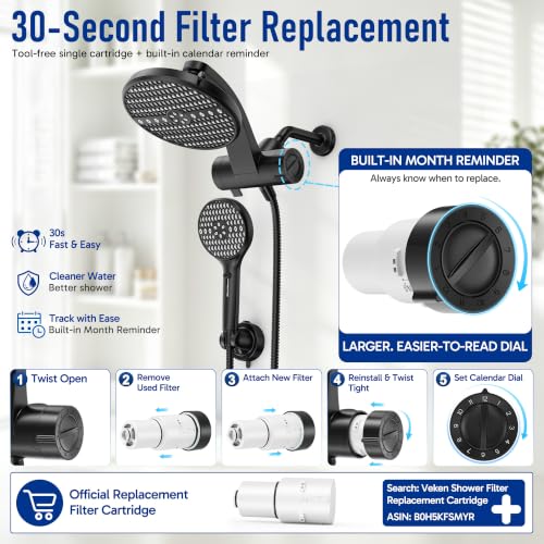 Filtered Shower Head with Handheld