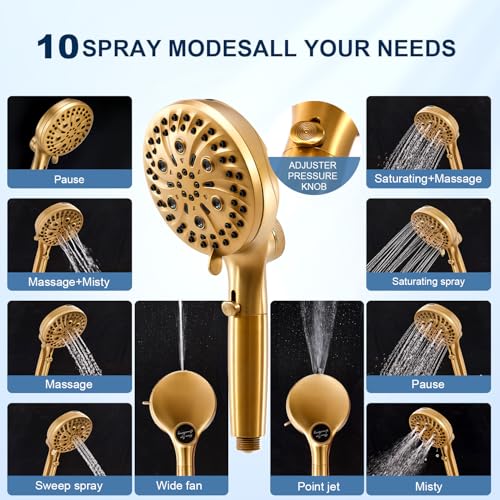Filtered Shower Head with Handheld