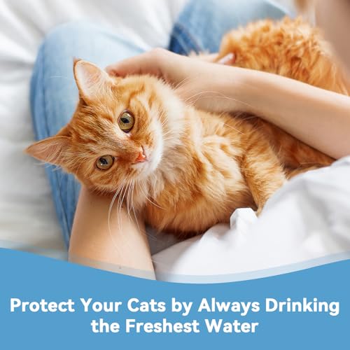 24 Pack Cat Water Filters for APAUK Pet Fountain 108oz (24 Count)