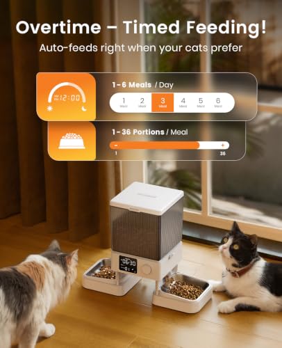 Automatic Cat Feeder for 2 Cats Pets
