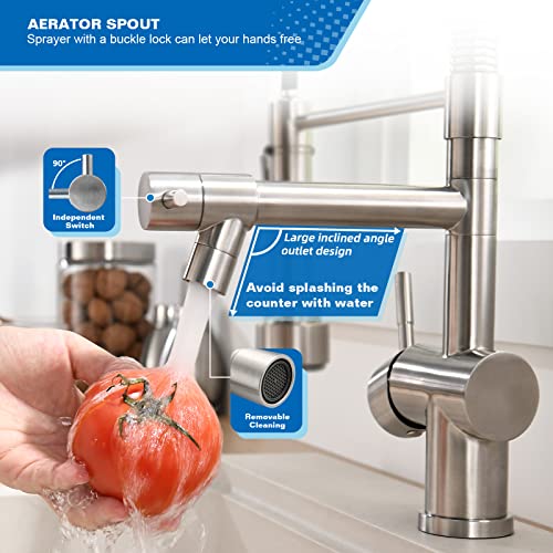 Commercial Kitchen Faucet with Pull Down Sprayer