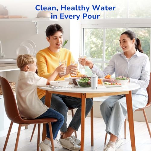 3 Pack Water Filter Replacements for Brita Water Pitchers and Dispensers (3 Count)