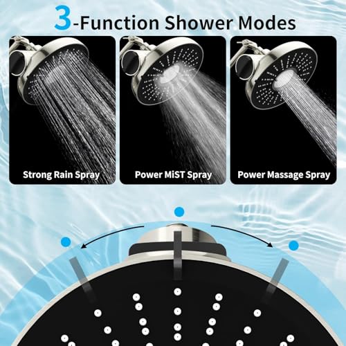 8 Inch Filtered Shower Head with Extension Arm Brushed Nickel