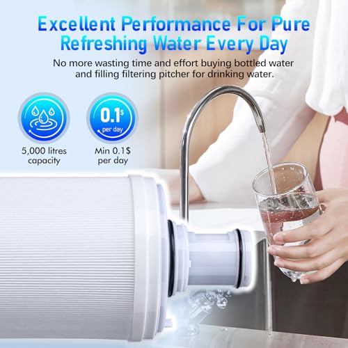 100186 Original Water Filter Replacement Cartridge Compatible with Amway Espring