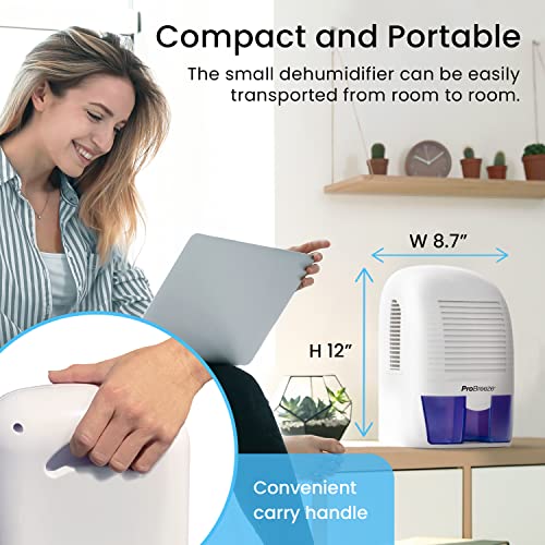 Electric Mini Dehumidifier