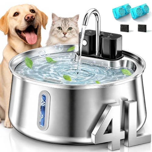 Selene Dog Water Fountain