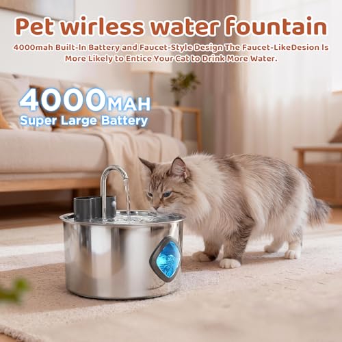 Cat Water Fountain Filter Replacement 12