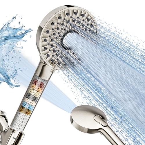 Shower Head with Handheld