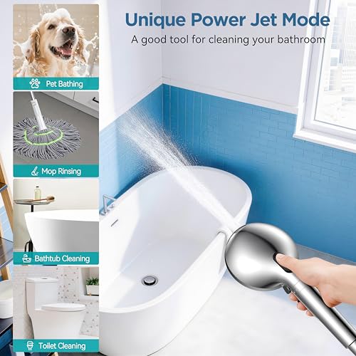 Filtered Shower Head with Handheld