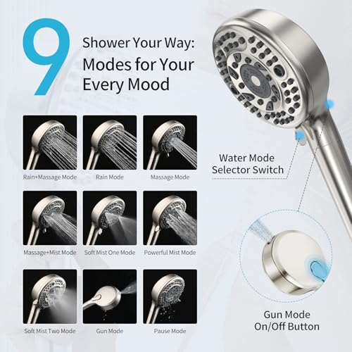 Filtered Shower Head with Handheld