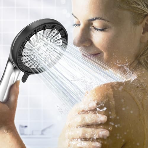Filtered Shower Head with Handheld
