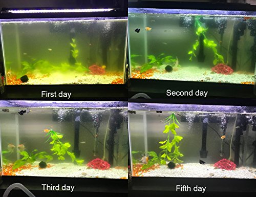 Internal Green Water Killer Aquarium Filter Tank U