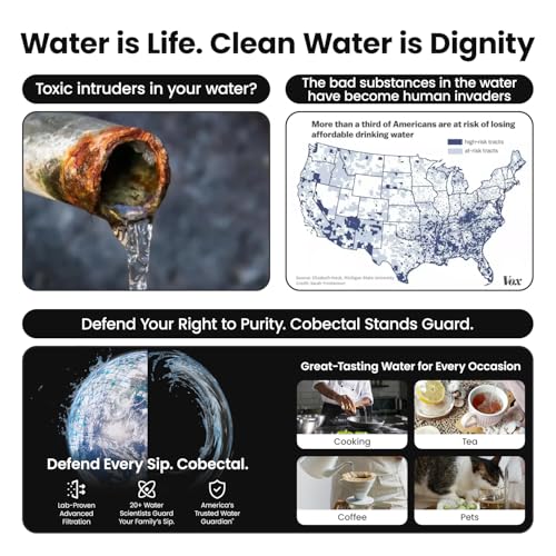 Under Sink Water Filter System