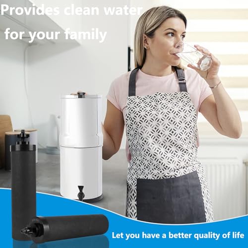 Water Filter Replacement for Berkey® BB9 (4 Count)