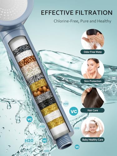 Filtered Shower Head with Handheld