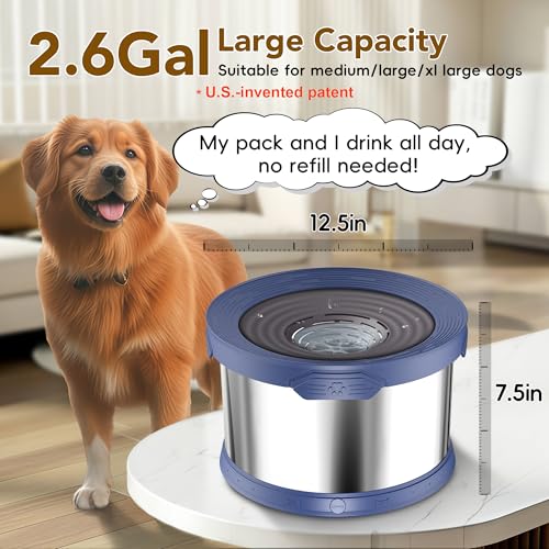 10L Dog Water Bowl No Spill Stainless Steel for Slow Drinking Blue
