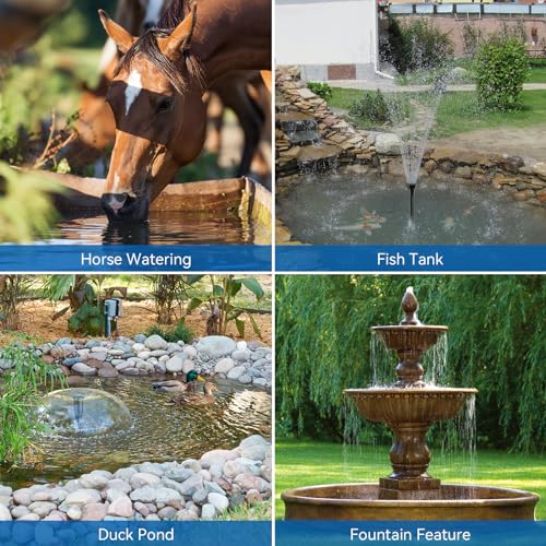 40W Solar Pond Pump with Filter Kit