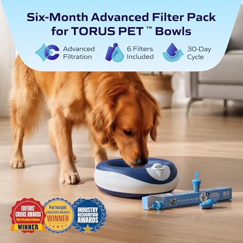 Advanced Replacement Filter (6 Count)