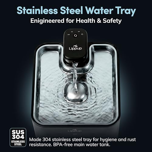 Cat Water Fountain Cordless