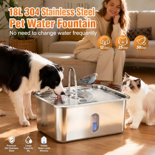 Dog Water Fountion for Large Dogs (50 Pound)