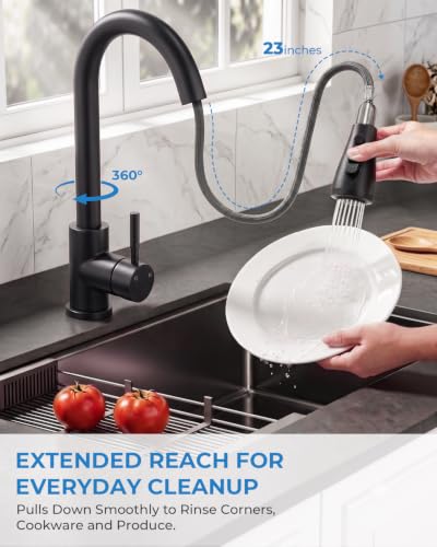 Black Kitchen Faucet with Pull Down Sprayer