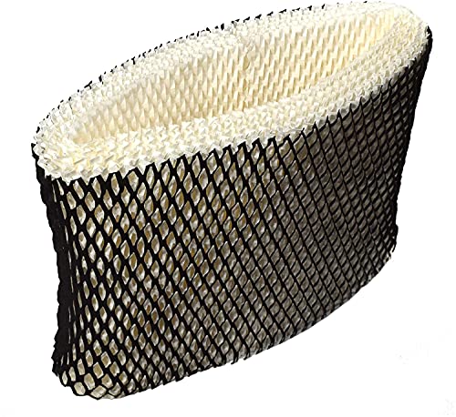 2 pack Wick Filter compatible with Walgreens 890 (2 Count)