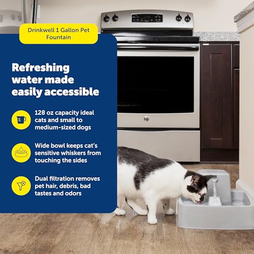 Oasys Pet Fountain