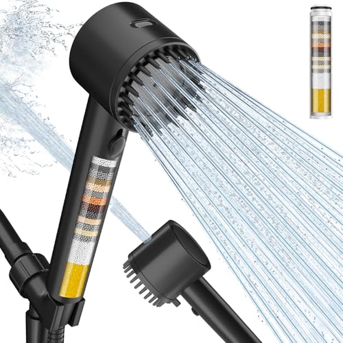 Filtered Shower Head with Handheld