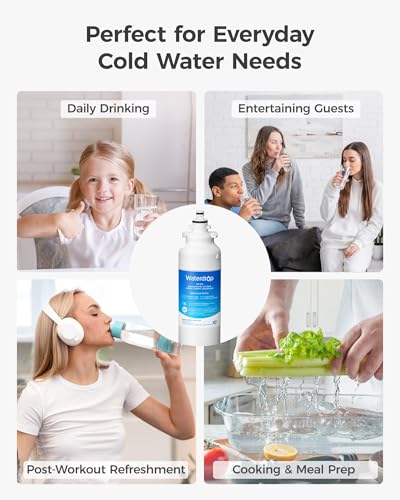 ADQ73613401 Water Filter (4 Count)