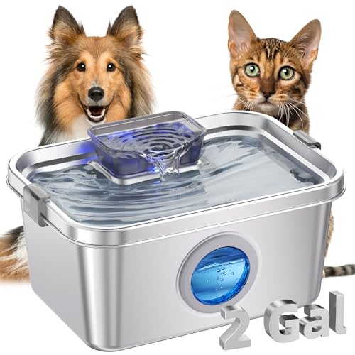 Cat & Dog Water Fountain