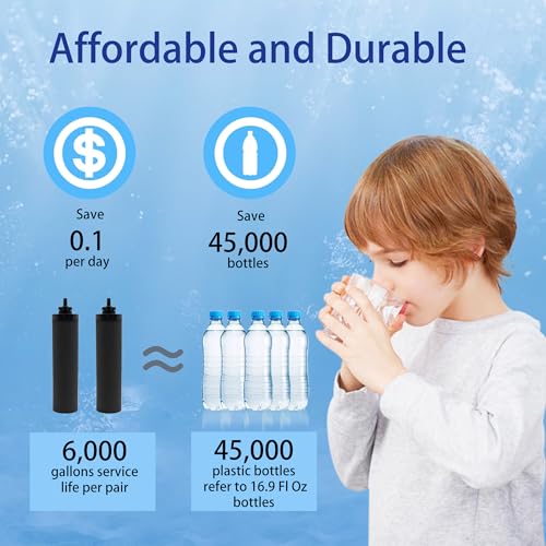 Water Filter Replacement for Berkey® BB9 (2 Count)