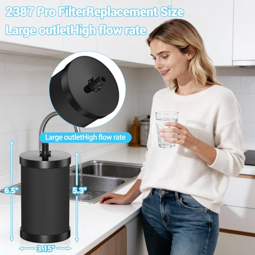 4 Pack Replacement Water Filters for Alexapure 2387 Pro