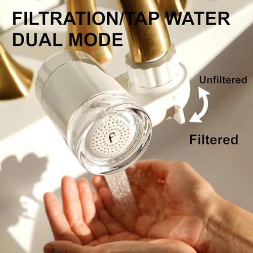 Skincare Filter 2.0